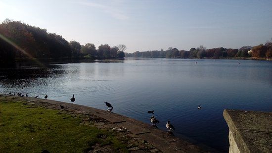 Lake Aasee